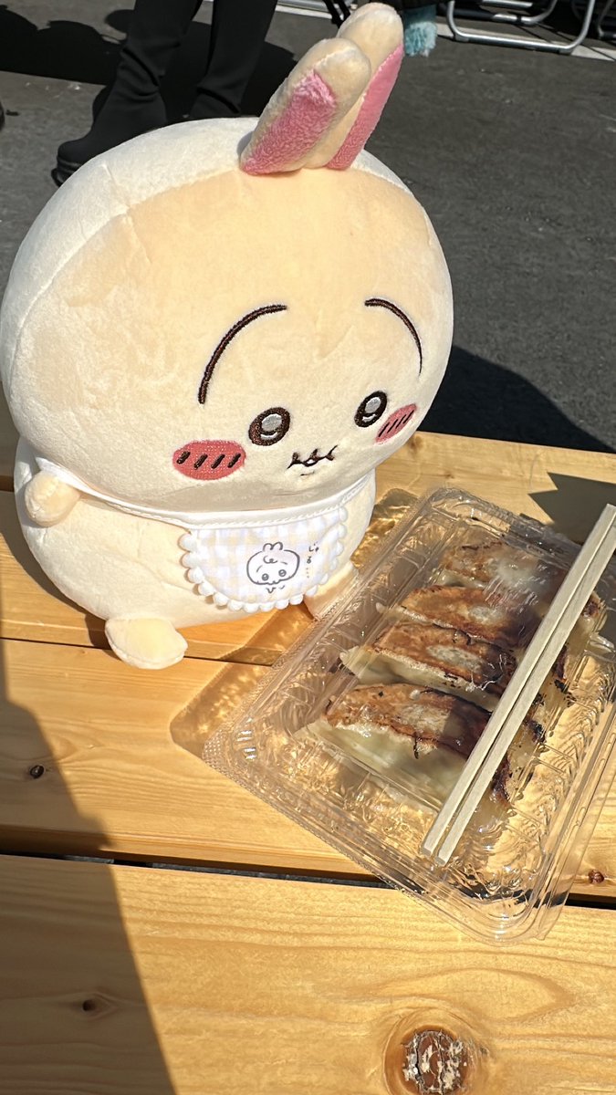 ami_lgln's tweet photo. またでぶに餃子食べさせてあげたいです https://t.co/sTrb65VhfU