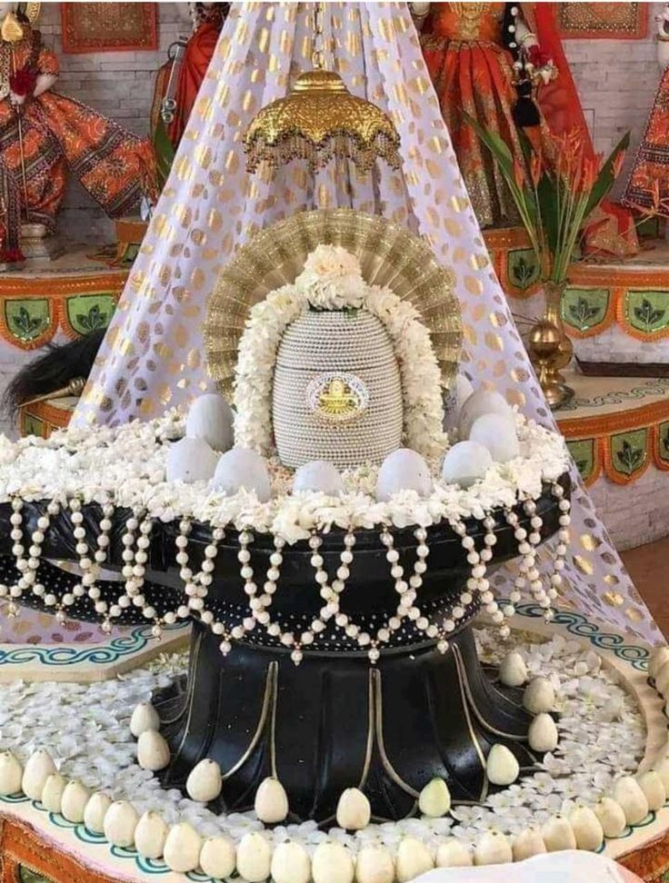 Sudhaka36754820's tweet photo. शुभ प्रभात 🌿🙏 
हर हर महादेव 🌿🍁 हर हर महादेव https://t.co/YZFHMxMpID