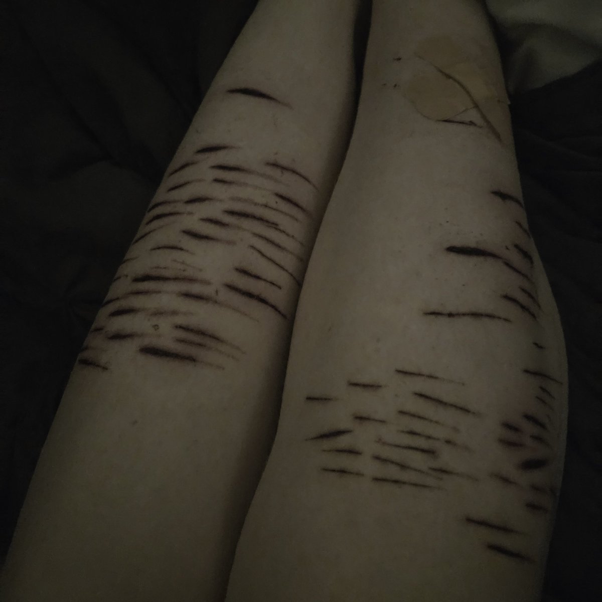 | ͜͝◞ིⓏ𝖆𝖓𝖊֗𝖘𝖍𝖊𝖉𝖙𝖜𝖙ֺּׅ𓏽ִ ᩧ ݄ tweet media