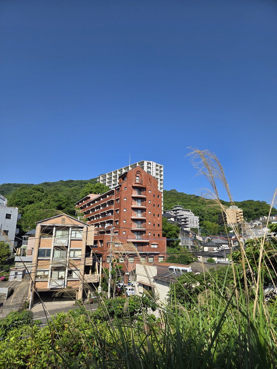 raian36's tweet photo. おはようございます
長崎は晴れです。気温24°C🌡
素敵な土曜日になりますように🍀😊☀️✨
 #おはようございます
 #花の写真
 #あさんぽ
 #長崎 https://t.co/DZNkKXlQTy
