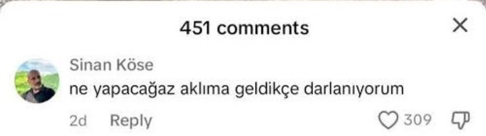 tuis tweet media