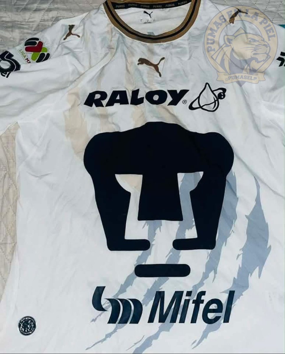 Pumas En La Piel tweet media