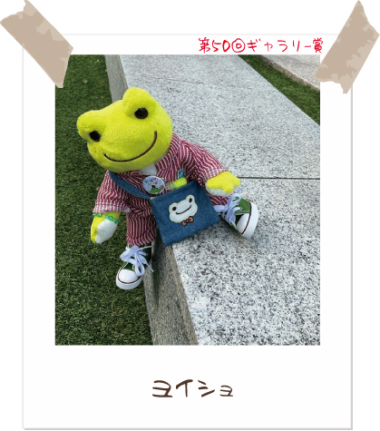 カエルのピクルス かえるのピクルス/pickles the frog (@picklesthefrog6) / Posts / X