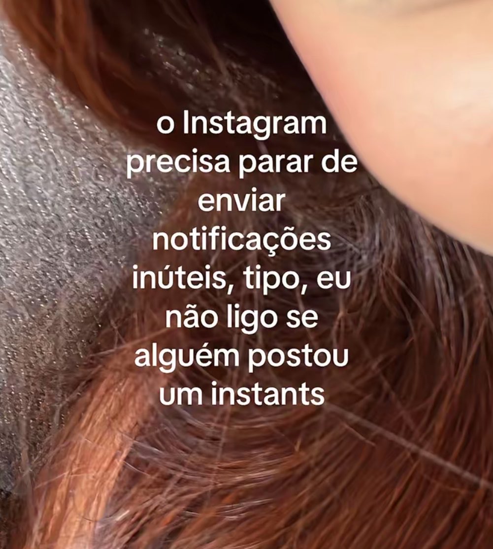sincera tweet media