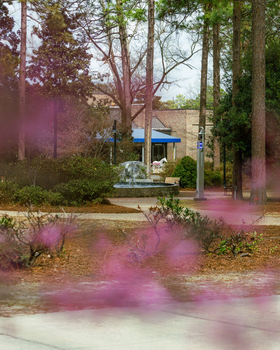 USCAiken's tweet photo. It’s the little details around campus that make USCA stand out from the rest.
#USCA #CampusLife https://t.co/CCdB6lYq0W