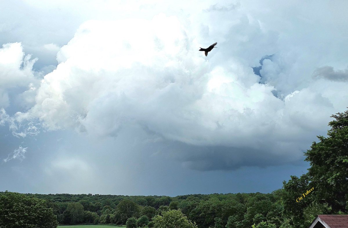 ginfuhrer1's tweet photo. @NickBenderKMBC @JacobLanierWx @fox4wx a partial rainbow, awesome cloud coverage, after the rains and Ruby-throated Hummingbirds photobombing today . . Leavenworth County ~ https://t.co/4H6KnCzfYA
