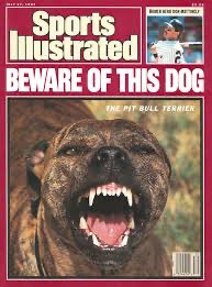 vics_conscience's tweet photo. @JonHeyman Remember when they went after Pitbulls? You know because they’re a sports magazine. Makes total sense when you think about it. https://t.co/5CXTqQAvMR