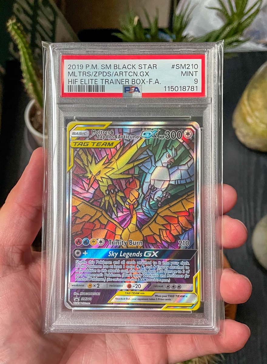 PokéCardsDaily tweet media