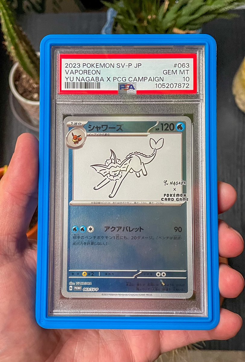 PokéCardsDaily tweet media