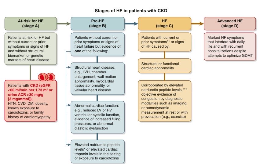 traceuraldo's tweet photo. El futuro del manejo cardio-renal probablemente no estará en perseguir creatinina aislada, sino en integrar congestión, biomarcadores, trayectoria de eGFR y calidad de vida

KDIGO pone sobre la mesa una visión mucho más integrada de HF + CKD.

https://t.co/H1krvJFzGR https://t.co/o4zmibV9YR