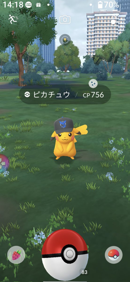 もふもふシャン子💛 tweet media