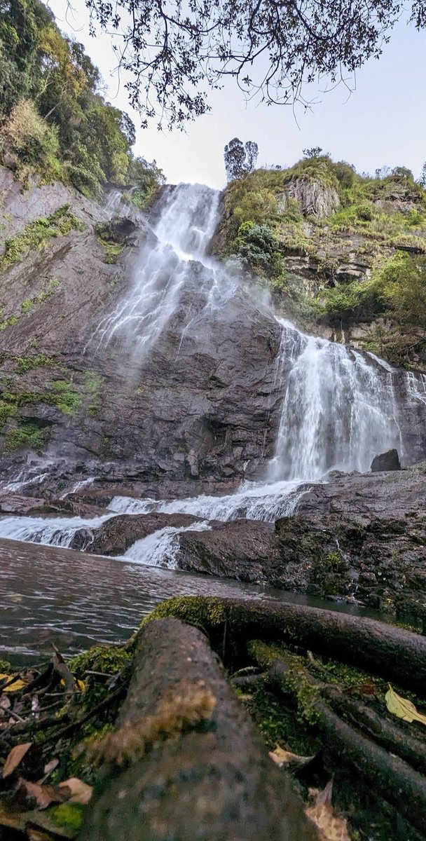 MegamalaiS's tweet photo. Thuthur Falls is an offbeat, hidden gem located near Kookal Village, roughly 35 kilometres from Kodaikanal. Tucked deep inside the dense,subtropical forests of the Palani Hills, it offers a raw and untouched alternative to the heavily crowded tourist hubs of mainstream Kodaikanal https://t.co/9nDyCZJ5F2