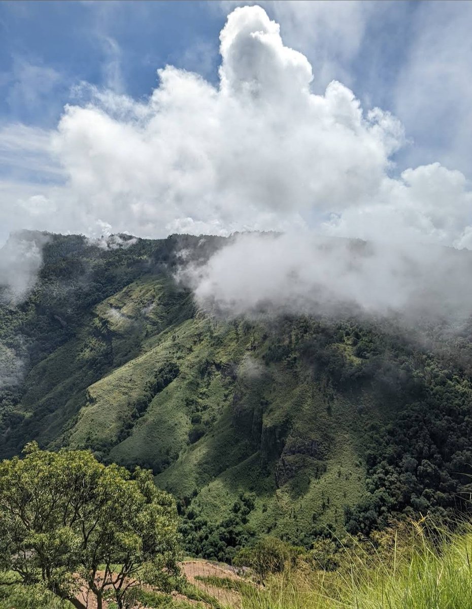 MegamalaiS's tweet photo. Thuthur Falls is an offbeat, hidden gem located near Kookal Village, roughly 35 kilometres from Kodaikanal. Tucked deep inside the dense,subtropical forests of the Palani Hills, it offers a raw and untouched alternative to the heavily crowded tourist hubs of mainstream Kodaikanal https://t.co/9nDyCZJ5F2