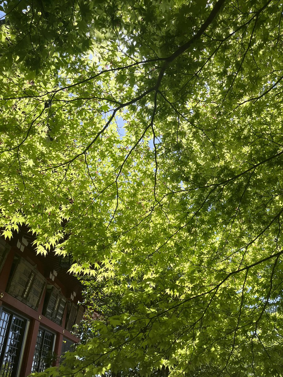 KARUS780096's tweet photo. 大山阿夫利神社 https://t.co/vng3x91t0m