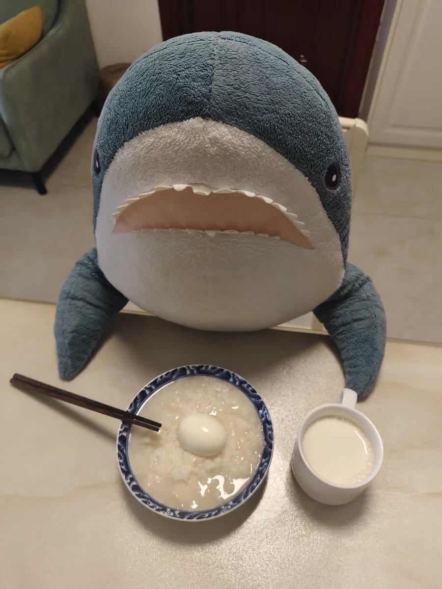 meshi_same's tweet photo. おはさめ！
朝ごはんはおかゆと牛乳🦈🦈 https://t.co/yl77pfQF2Z