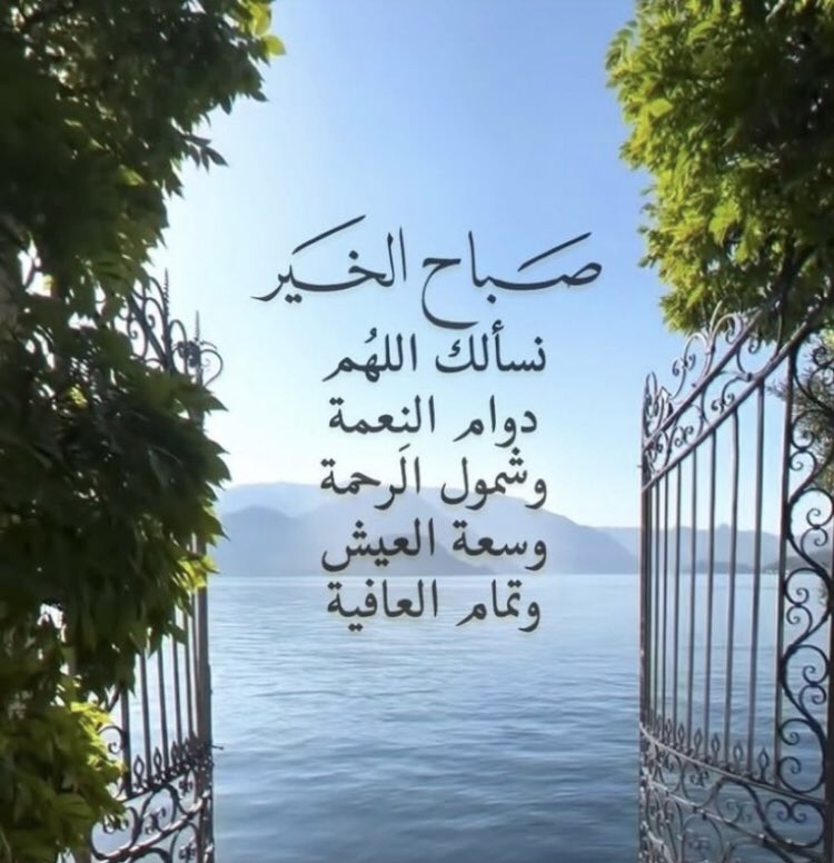 بنت سعود 🌸✨ tweet media