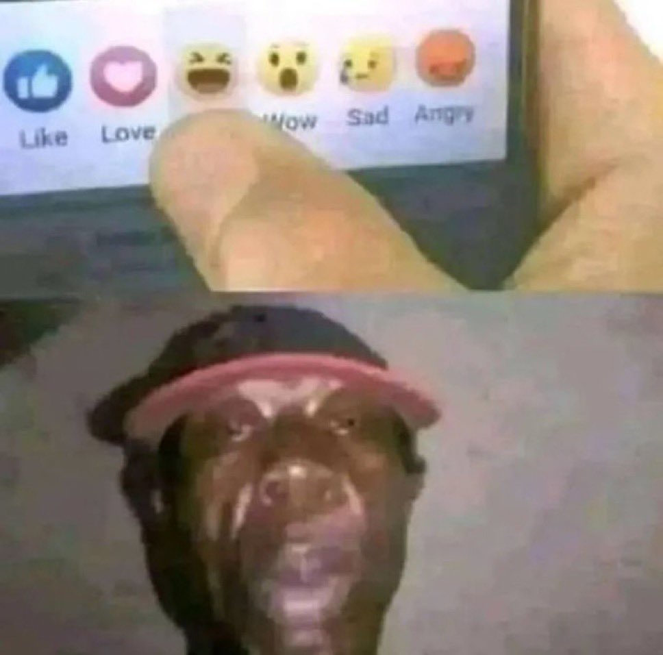 KOLL tweet media