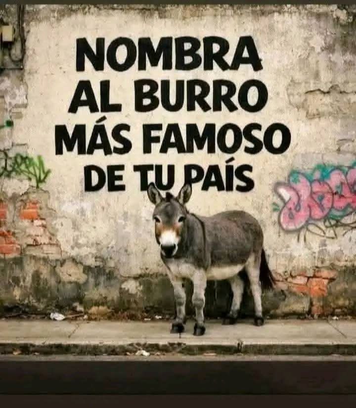 Marco A Escalante 🇲🇽 tweet media