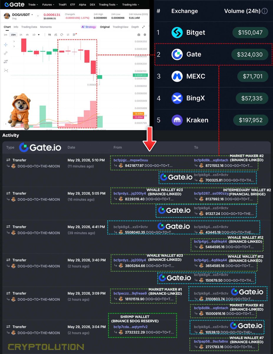Vincent (Cryptolution) 👑 tweet media