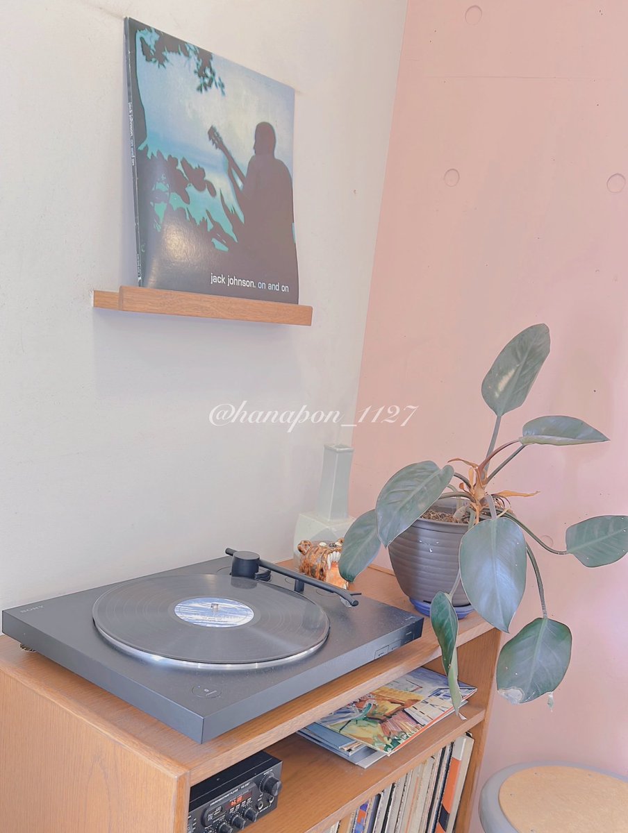 Hana🥞🌿 tweet media