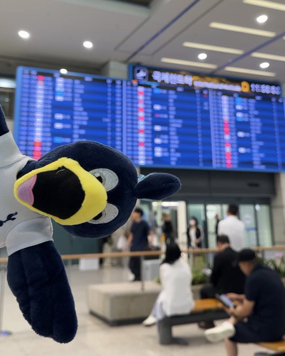 Spurs_KR's tweet photo. 나 철피 한국 옴

#THFC #COYS #SpursKR #토트넘 https://t.co/ZsBbYLskPs