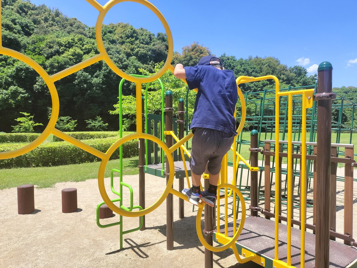 kumasuke_33's tweet photo. 本日は、公園散策へ😊 https://t.co/ExPNlIE8Gt