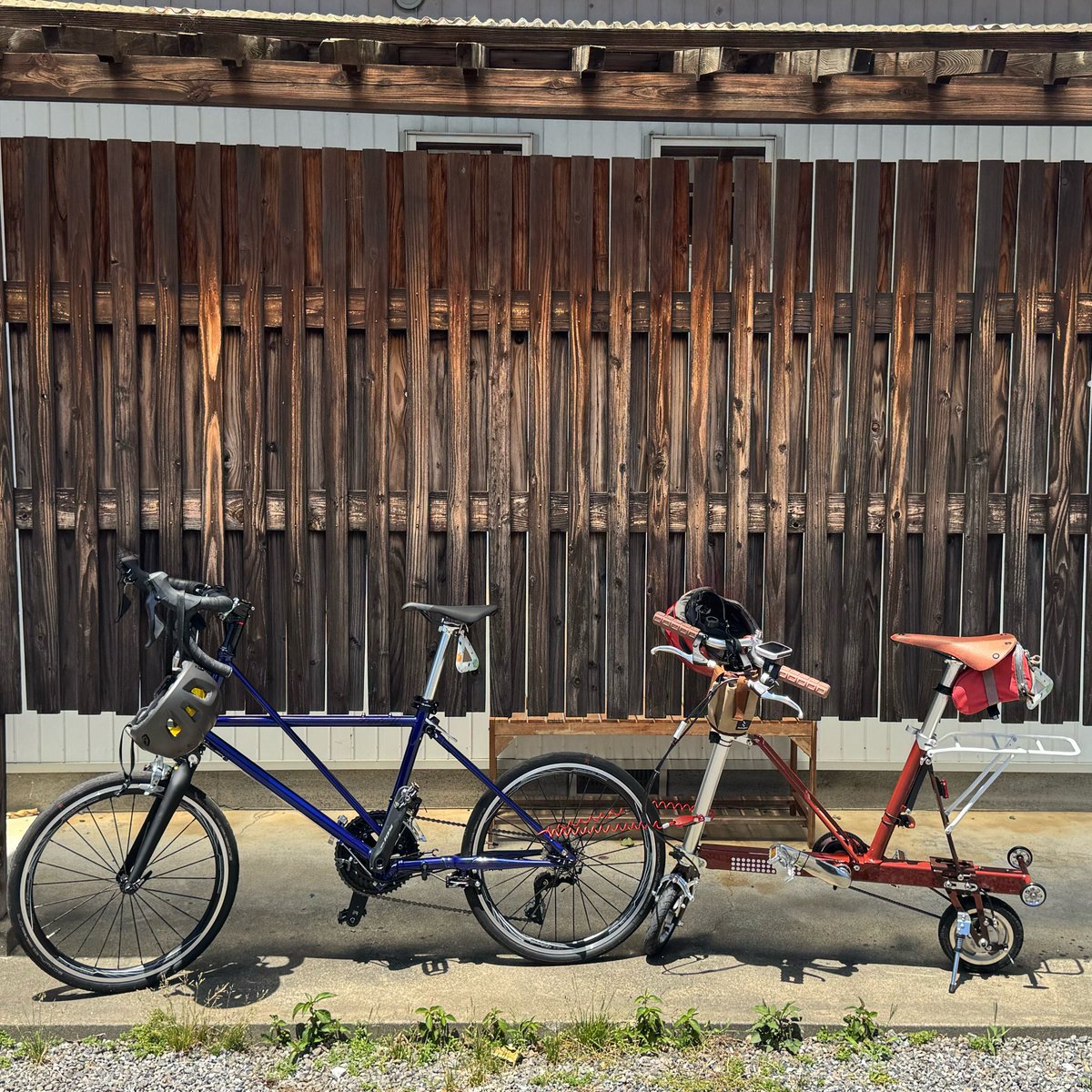 potarist0's tweet photo. 近くのかき氷屋さんまで🚲美味しかったけどデカすぎてお腹タプタプになりました。 https://t.co/wHZOgNA67r