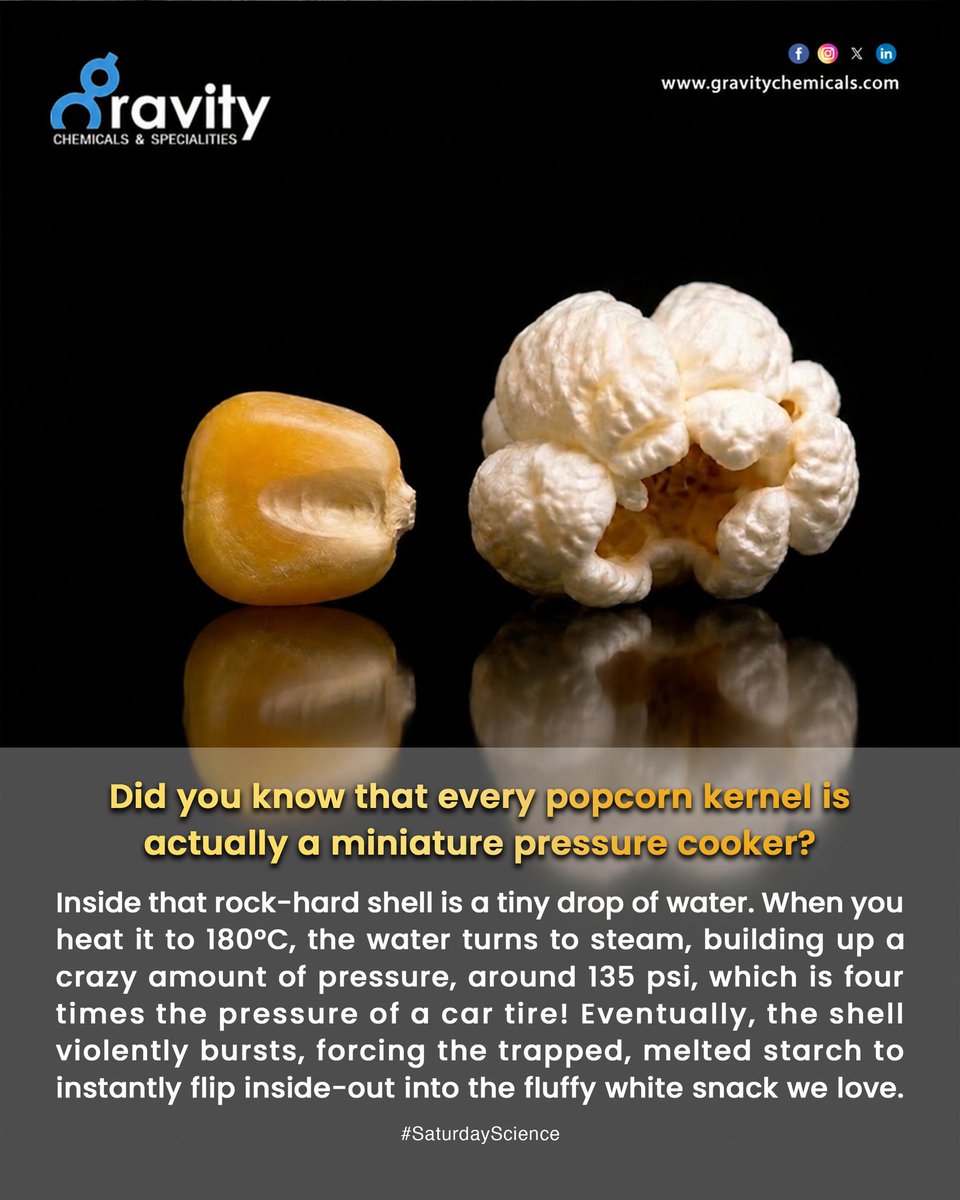 GravityChems's tweet photo. Every popcorn kernel is a mini pressure cooker! 🍿

Inside the shell is a drop of water. Heated to 180°C, it turns to steam and builds 135 psi of pressure (4x a car tire!).

Eventually, the shell bursts, flipping the melted starch inside-out into a fluffy snack.

#facts https://t.co/fHiZTQvsSJ