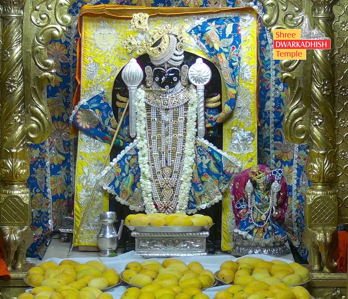 DwarkaOfficial's tweet photo. राजाधिराज द्वारकाधीश जी के श्रृंगार आरती एवं आम मनोरथ दर्शन 🙏🏻
श्री द्वारकाधीश मंदिर द्वारका,गुजरात
दिनांक :- 30/05/2026 शनिवार                           

#dwarka #shringararti
#ShridwarikadhishmandirOfficial https://t.co/xDpMkeeDUe