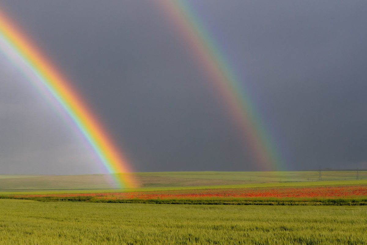 SilviuFoca's tweet photo. Am observat că a mai fost pe undeva pe aici pe Twitter curcubeul ăsta doar ca eu l-am văzut exact de unde a pornit, adică din lanul de maci.
Nici nu dau tag 😆😆
 @SorinGrumazescu @csavules @Lunea_in_HR @liviutita https://t.co/RzyfPBofFO