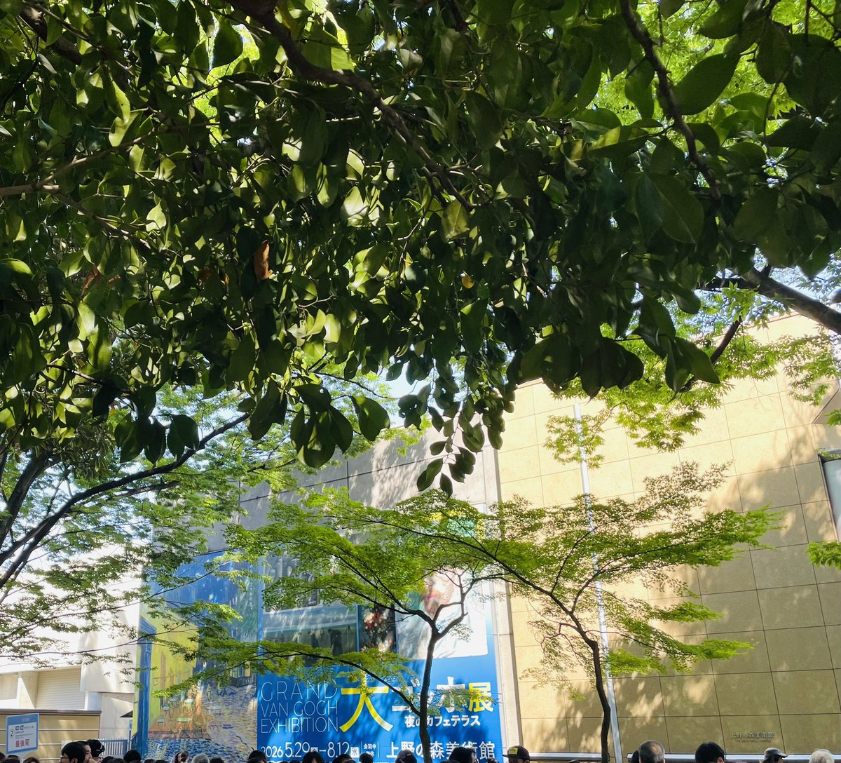 tnr_stamp's tweet photo. ショップに入れないのは残念ながら
木漏れ日の特大ポスターで満ちる休日🌿

#トラベラーズノート
#HaveaNiceWeekend https://t.co/MbmXyR9MAW