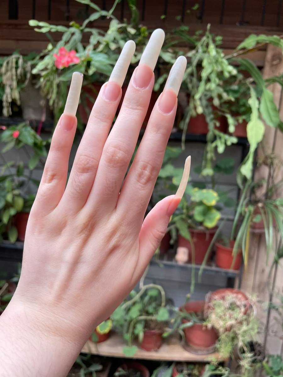 longnailspage's tweet photo. https://t.co/lGYXmoFMlj all natural nails 

#longnails #naturalnails #realnails #cleannails #clearnails https://t.co/15aLU711y4