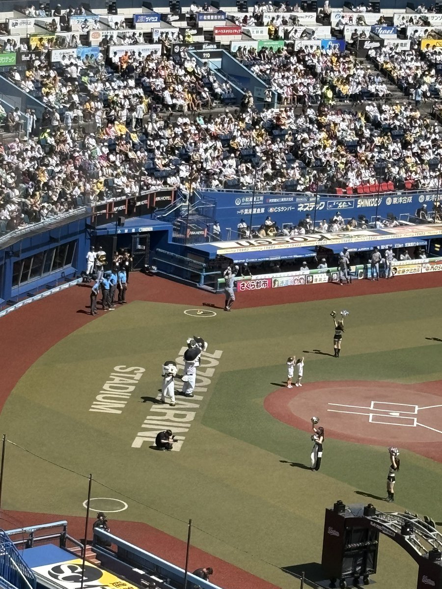 angesem_todes's tweet photo. ほっちゃん
ゆめちゃん
一塁側で見てるけどごめんね
私宗教上の理由で黄色い球団の応援してるので https://t.co/otZLRFeH06