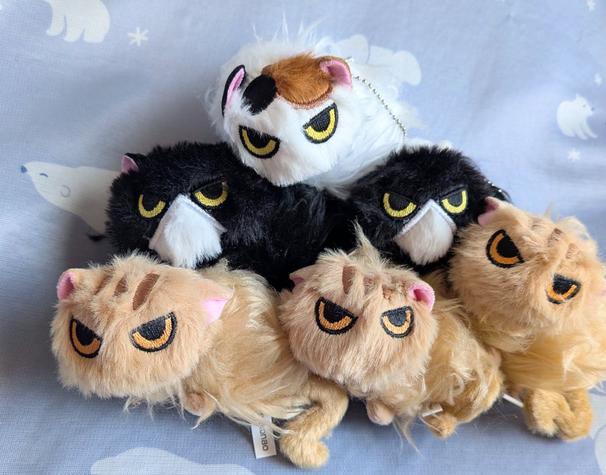 chashironeko89's tweet photo. なつかない猫ぬいぐるみ第二弾🎉
目つきがたまらんカワイイ
激しくイカ耳の子がいるのがたいへん良い
八百屋さんたくさん来てくれました
しばらくなでまわして背中をもう少し逆立ててあげたい

#カプセルトイ https://t.co/JUEpiHPtso