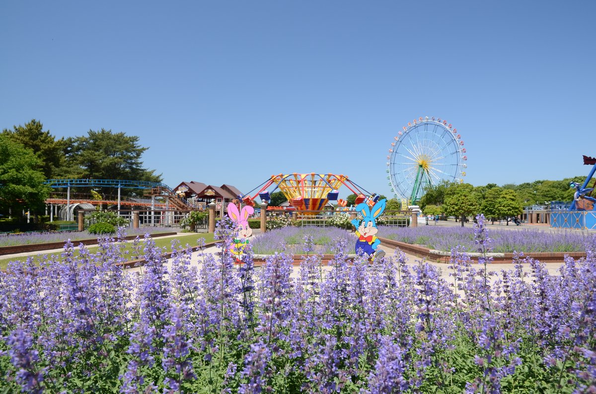 国営ひたち海浜公園【公式】 on X: 
