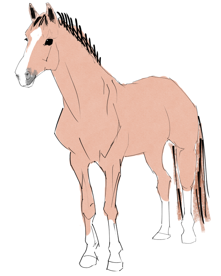 sentricknight's tweet photo. horse https://t.co/dA2ei8gjWQ