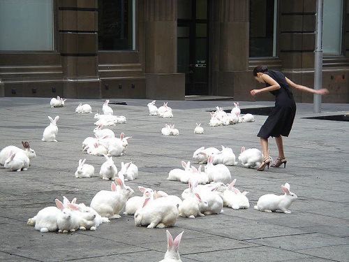 jolie ✿ tweet media