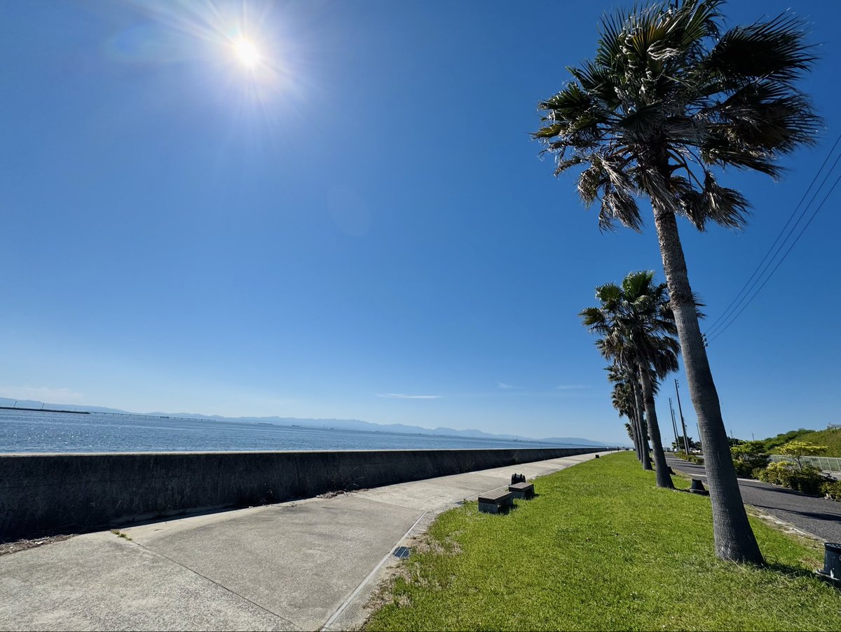 PreenGarvini's tweet photo. 今日は名古屋近郊の常滑で前泊するんですがトロピカルな雰囲気で素晴らしいです https://t.co/2kTaGHQA2f