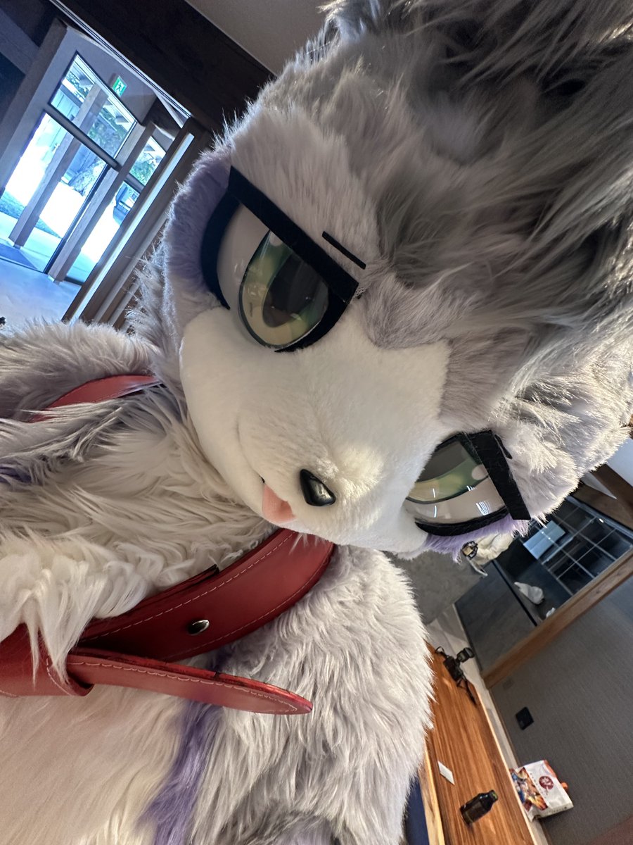 ラードマン tweet media