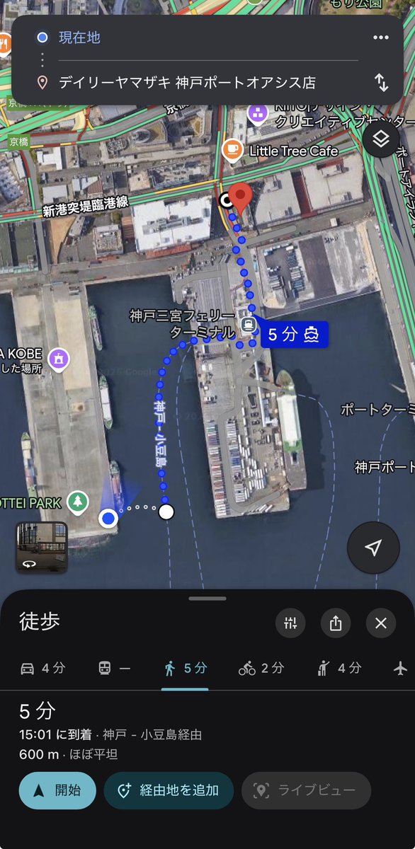 りゅーとん(えみる命名) tweet media