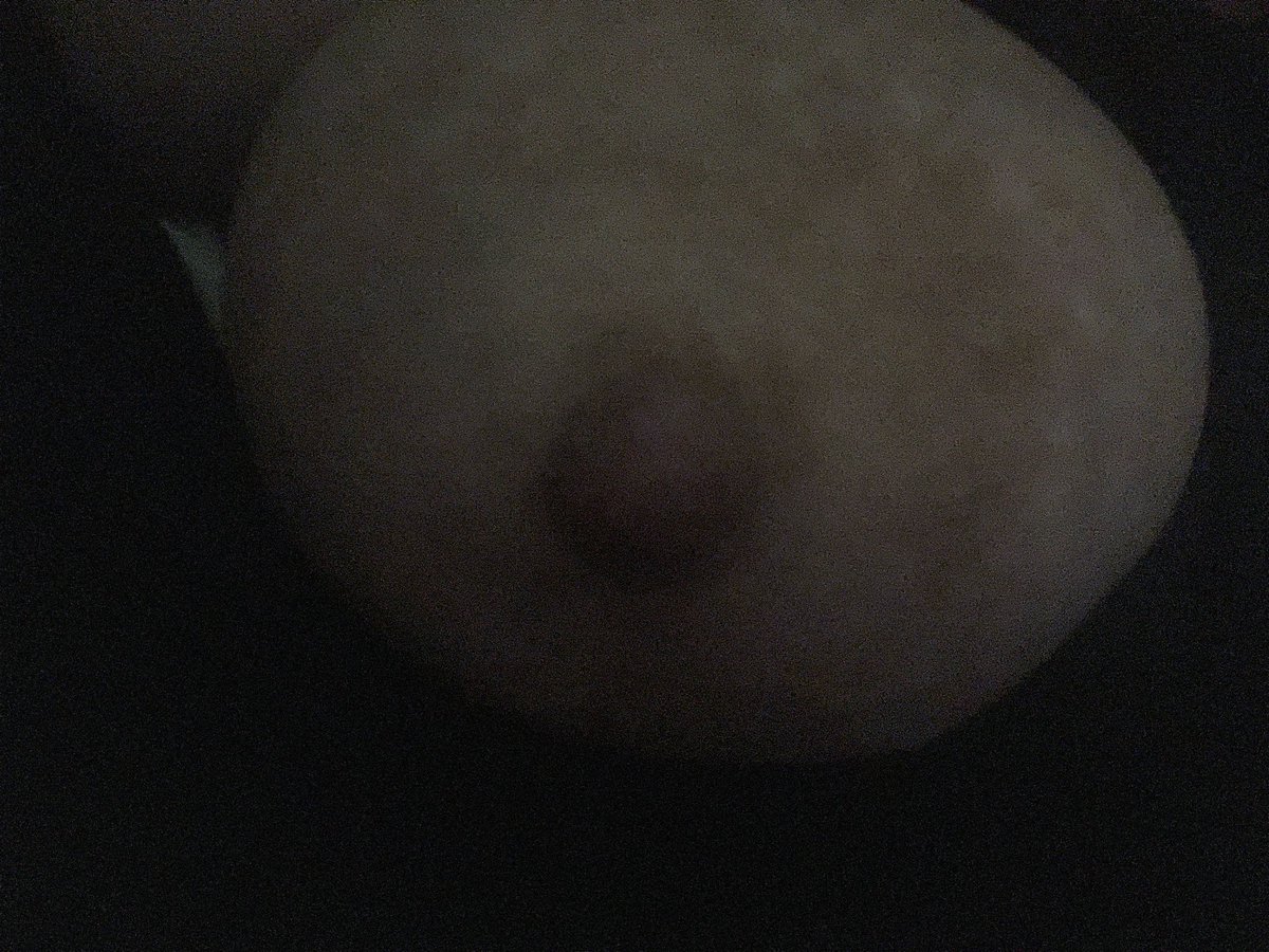 nicooo444's tweet photo. soft 🍒 https://t.co/38MDhWPzcb