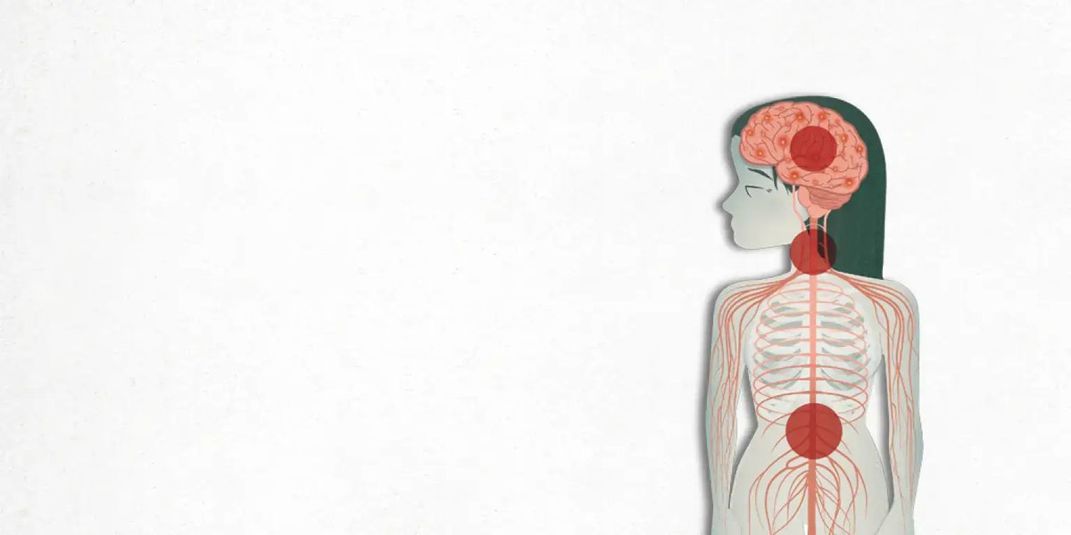 hospitalclinic's tweet photo. 📅 Avui és el Dia Mundial de la #Nutrició.

🧠Malaltia neurològica crònica que afecta el sistema nerviós central, és a dir, el cervell i la medul·la espinal.

🧍L'esclerosi múltiple és la segona causa de discapacitat neurològica en adults joves.

➕ Info a #PortalCLÍNIC 👉 https://t.co/cxoXfp7lXg
