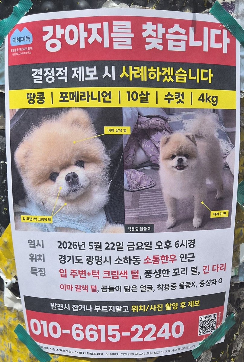 독🐕 tweet media