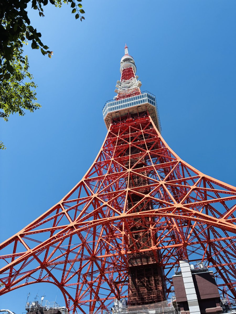 ボン tweet media