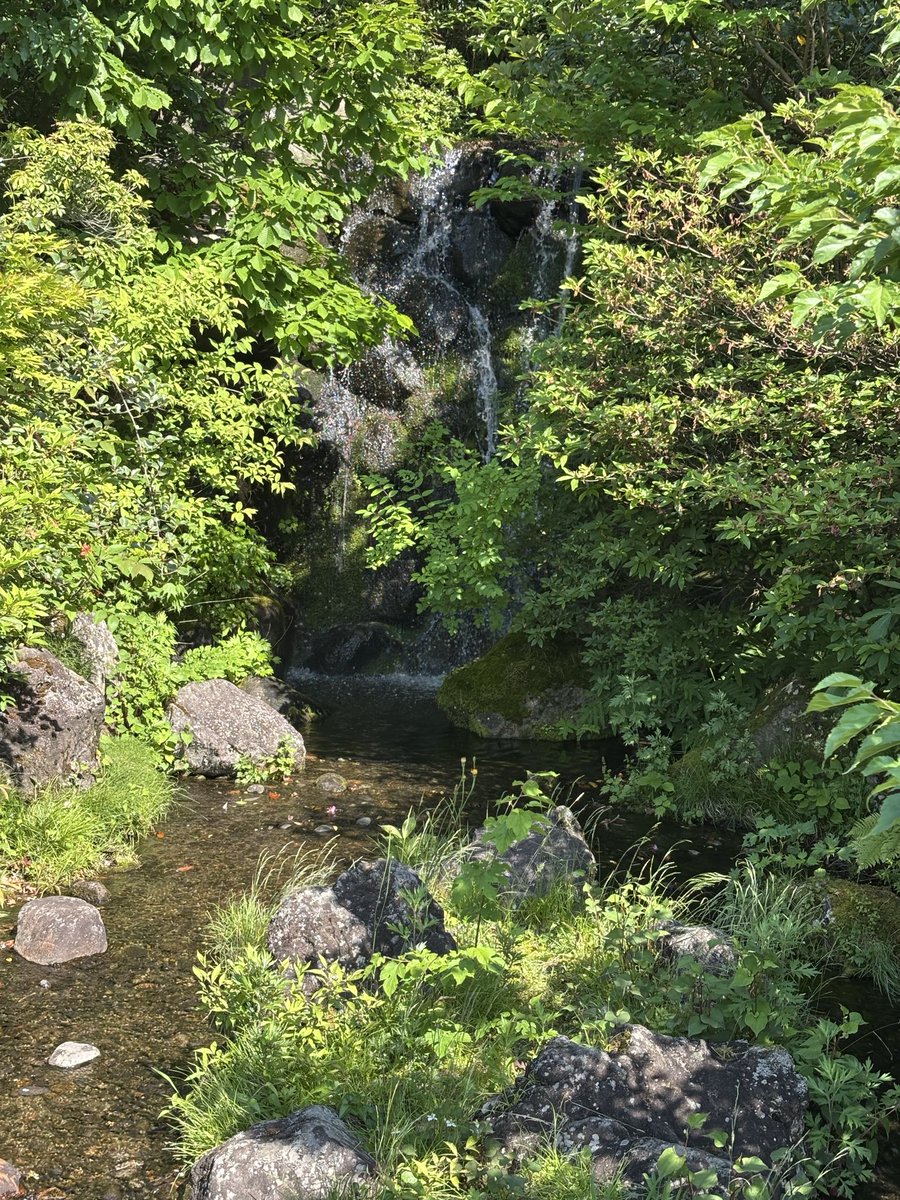 abenbe_maplem's tweet photo. 水の流れが涼しい〜 https://t.co/yF49ng3EzY
