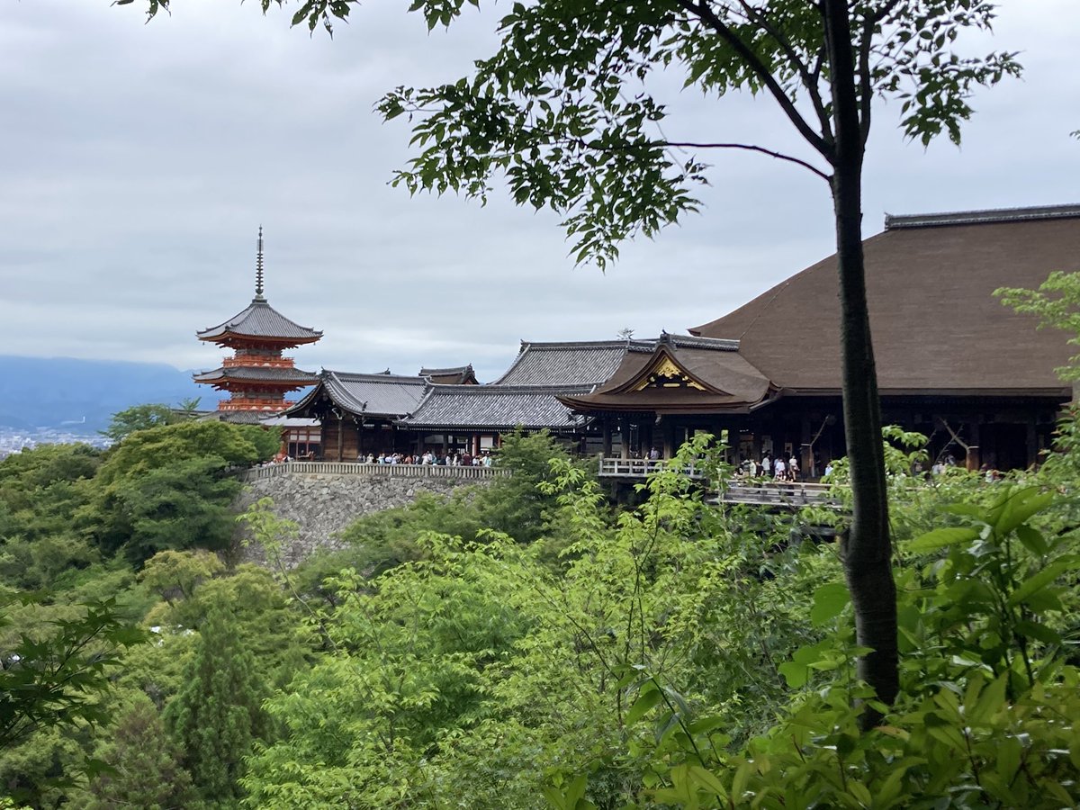 yuyanosora's tweet photo. 清水寺にも行って来て自然に触れて御朱印も頂き心が洗われる〜ってなってたけど…

考え方の違いで仕方ないけど、
観音さんが居る所で外国籍の方がメイク直し（遠目からでもパウダーが舞っているのが分かる）してて悲しくなった…

もう少し文化（文化財）にリスペクトして欲しいな…(T . T) https://t.co/DKo2LLXefk