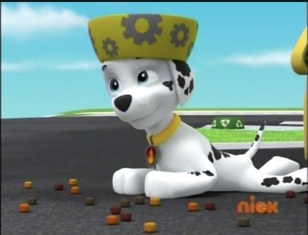 𝐌𝐚𝐫𝐬𝐡𝐚𝐥𝐥 𝐑𝐮𝐟𝐟 🐶🐾 tweet media