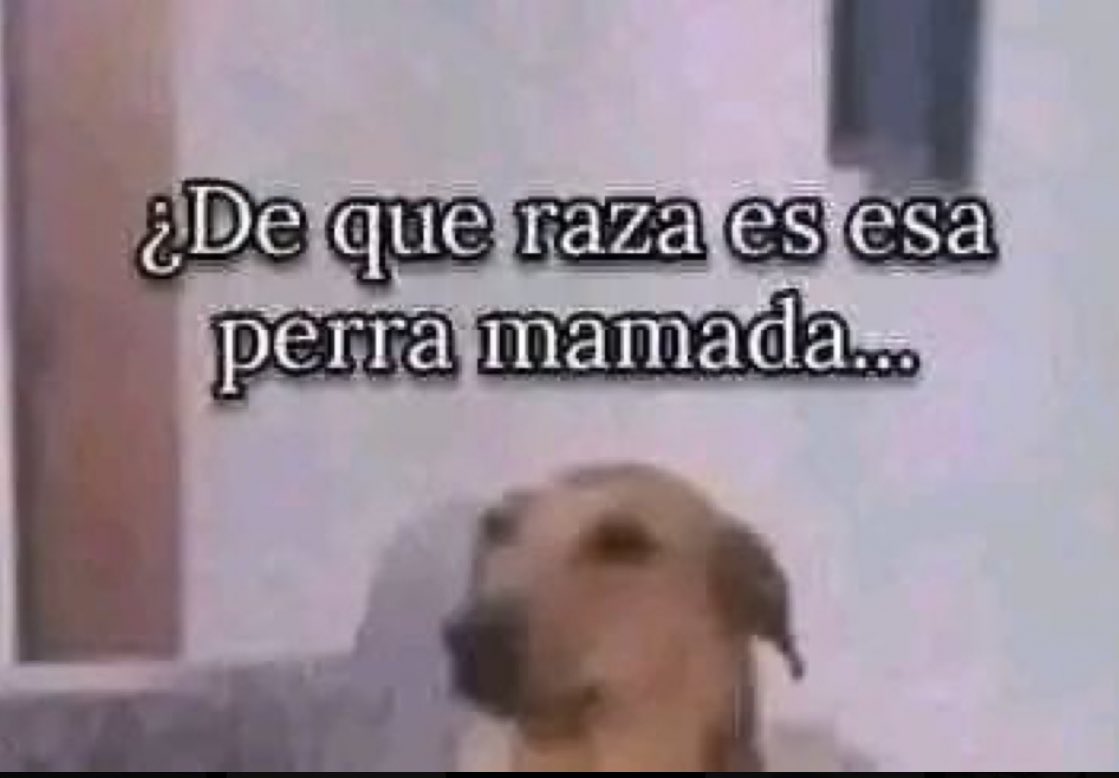 bgalaz's tweet photo. @Javier_Alarcon_ https://t.co/aE3XpXts68