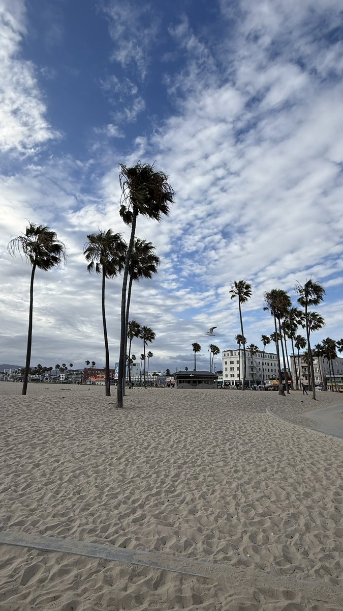 AlnndaReemo's tweet photo. #تصويري #Venice Beach https://t.co/ngWn4AXli0