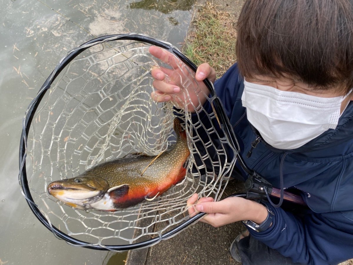 YumaKa10's tweet photo. 学生の時、いろんな釣りに手出しといてほんとうに良かった。感謝してるまである。きちんと糧になってるよと伝えてあげたい🖖 https://t.co/w7ThiF4wZ4